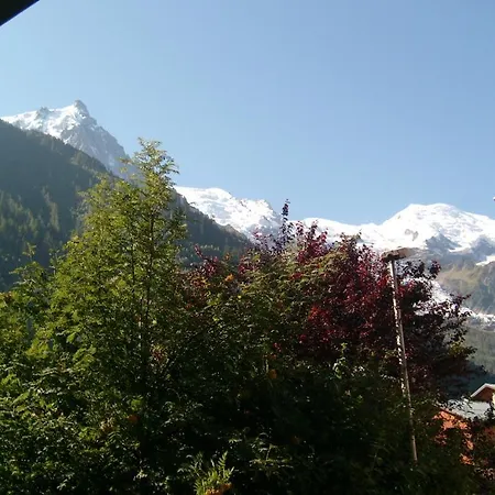 T2 Centre Balcon Vue Mont Blanc 霞慕尼