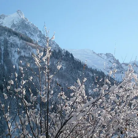 T2 Centre Balcon Vue Mont Blanc Apartment *